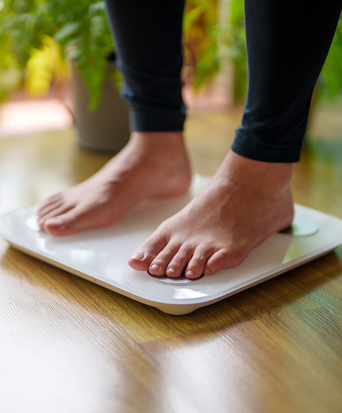 Person standing on a bathroom scale.